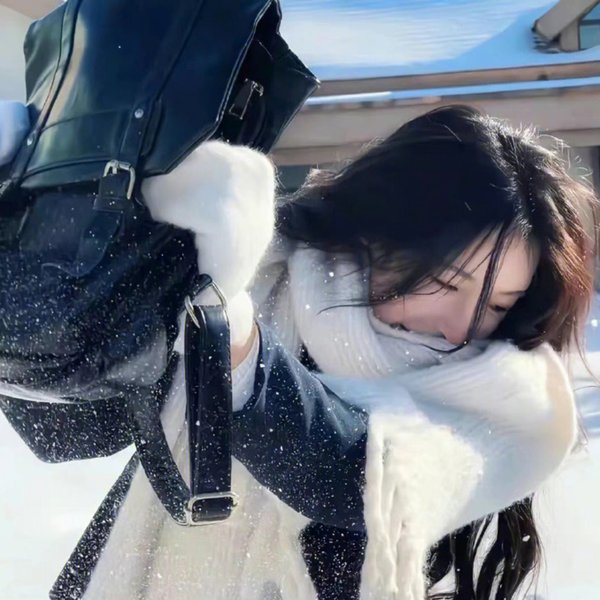 龙心战纪